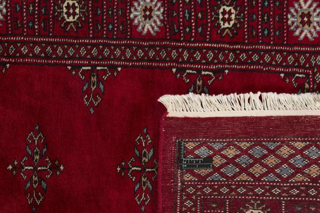 Paquistão Buchara 3ply - 1