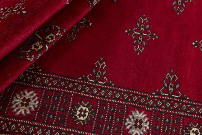 Paquistão Buchara 3ply - 2