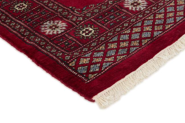 Paquistão Buchara 3ply - 3