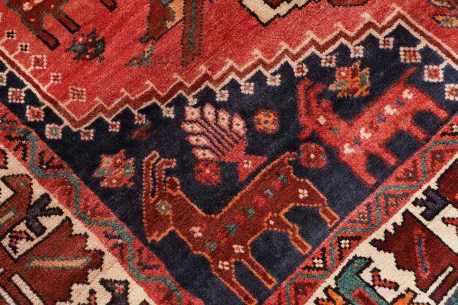 Shiraz - 5