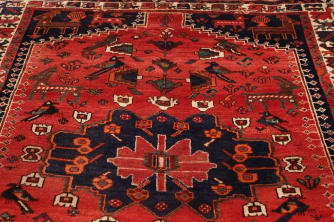 Shiraz - 7