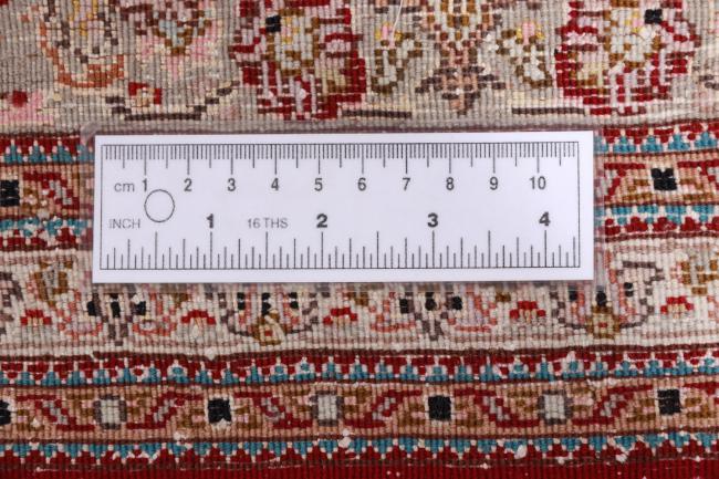 Tabriz Mahi 50Raj Piruzian - 10