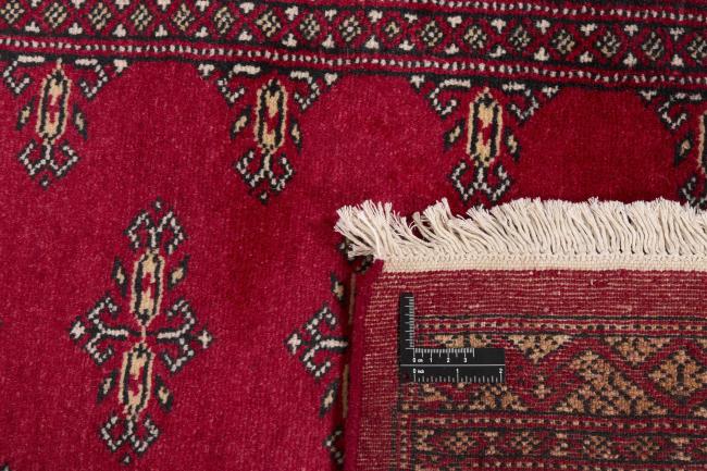 Pakistan Buchara 2ply - 1