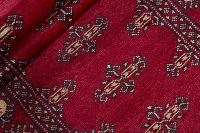 Pakistan Buchara 2ply - 2