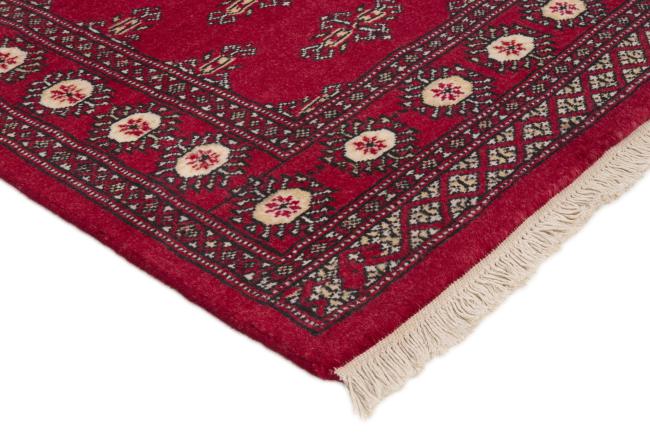 Pakistan Buchara 2ply - 3