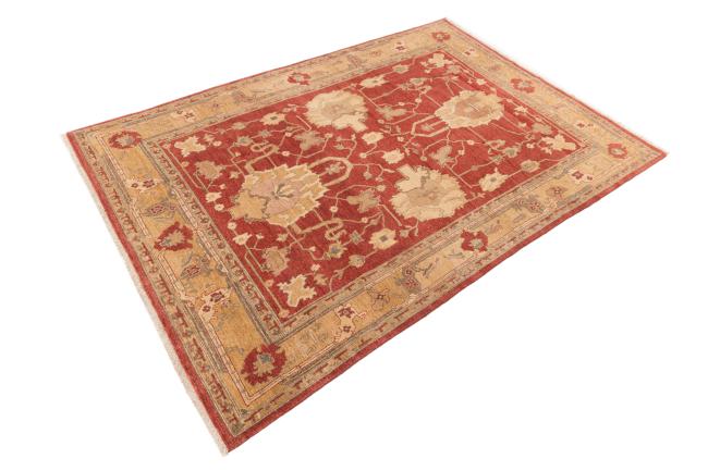 Ziegler Farahan - 2