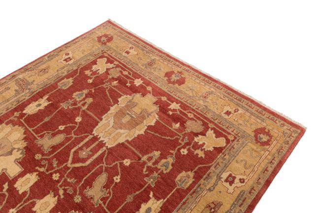 Ziegler Farahan - 3