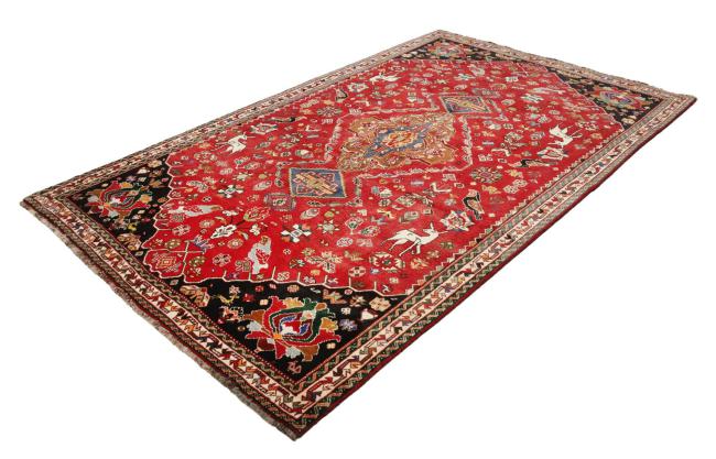 Shiraz - 3
