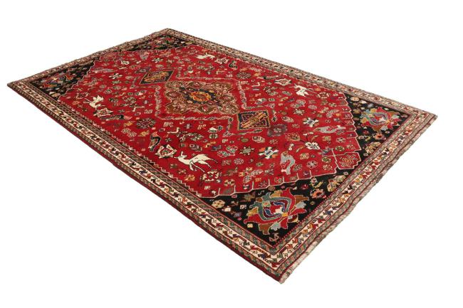 Shiraz - 4