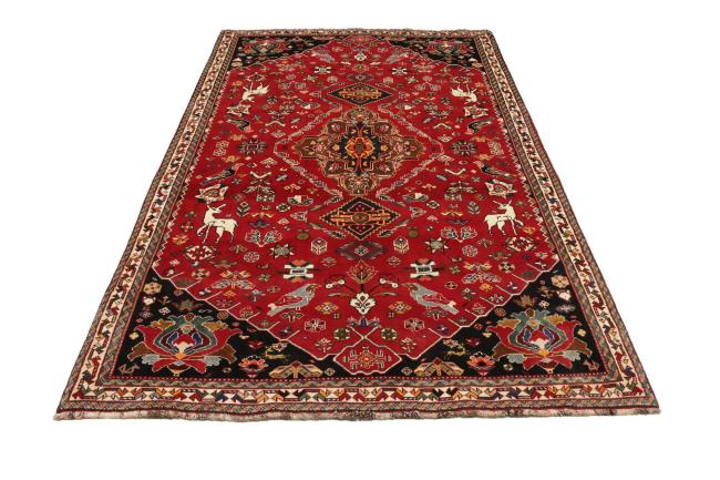 Shiraz - 5