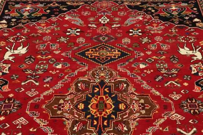 Shiraz - 9