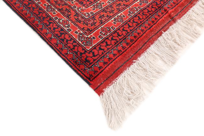 Afghan Mauri - 5