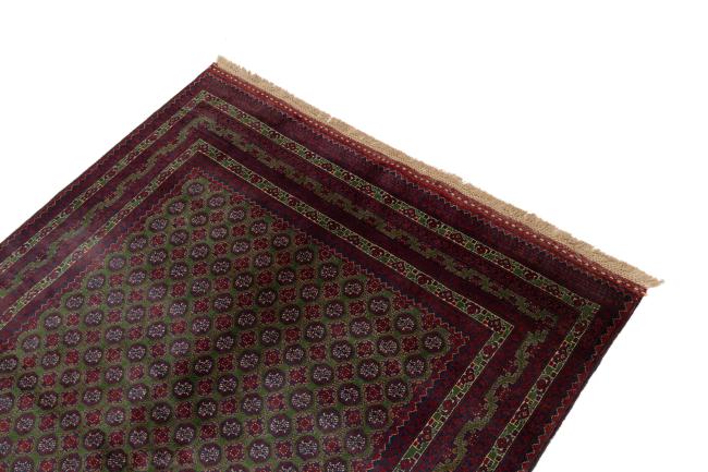 Afghan Mauri - 3
