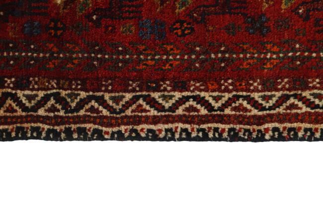 Shiraz - 3