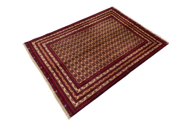 Afghan Mauri - 2