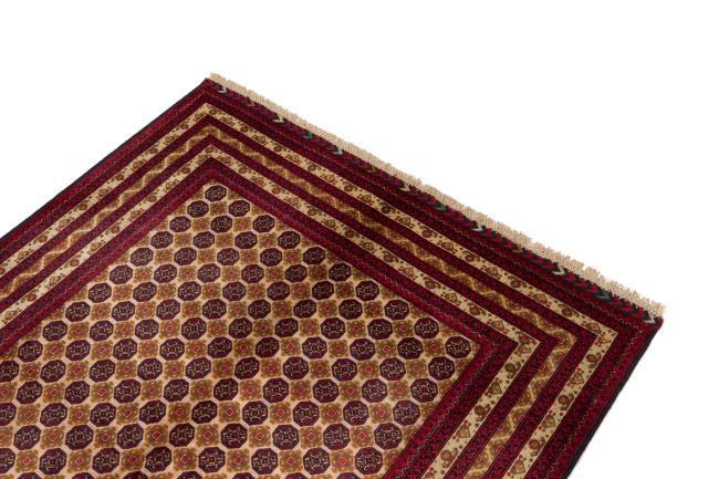 Afghan Mauri - 3