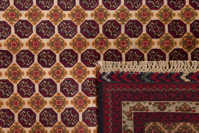 Afghan Mauri - 6