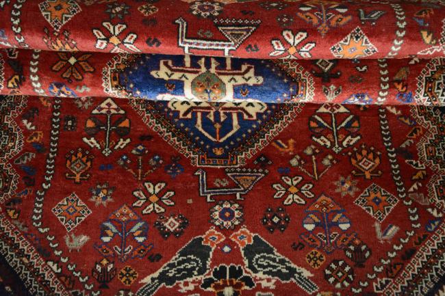 Shiraz - 8