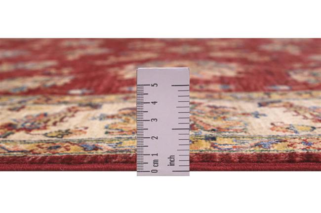 Ziegler Farahan - 3