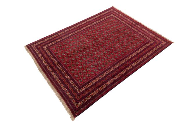 Afghan Mauri - 1