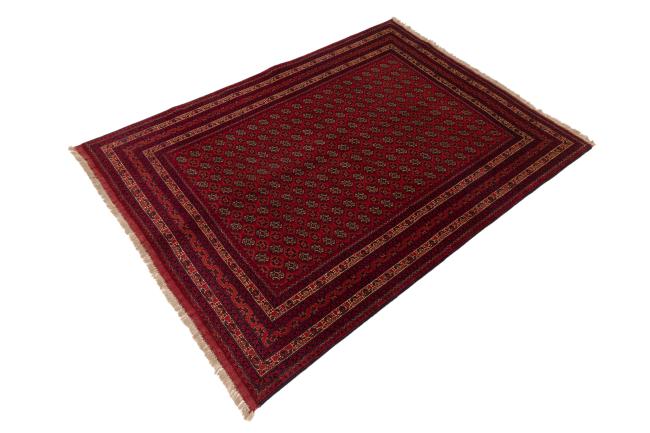 Afghan Mauri - 2