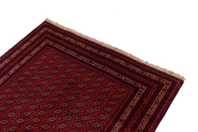 Afghan Mauri - 3