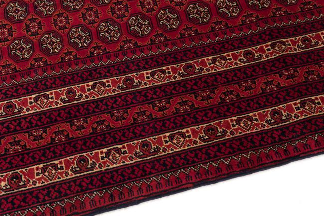 Afghan Mauri - 4