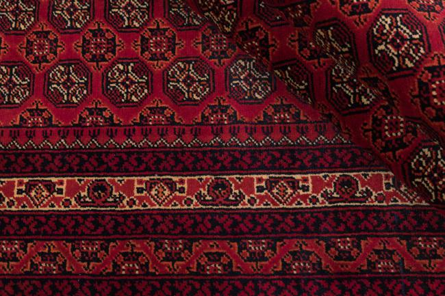 Afghan Mauri - 8