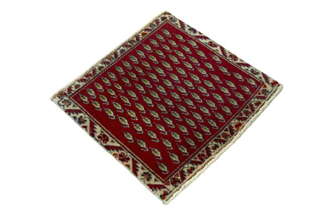 Shiraz - 2