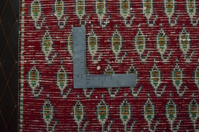 Shiraz - 4
