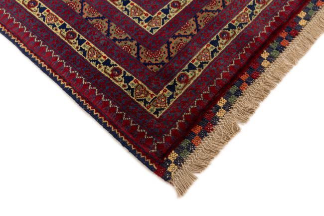 Afghan Mauri - 5