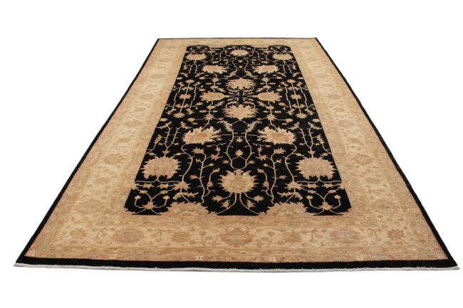 Ziegler Farahan - 3