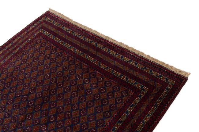Afghan Mauri - 3