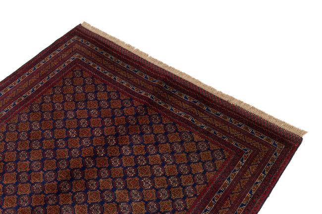 Afghan Mauri - 3
