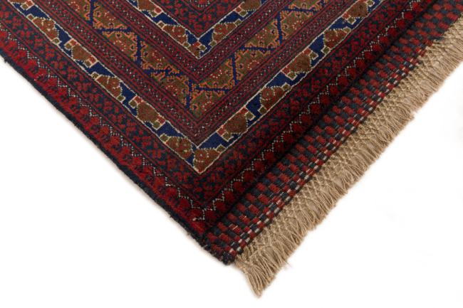 Afghan Mauri - 5