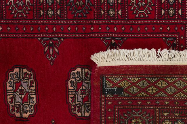 Pakistan Buchara 2ply - 1