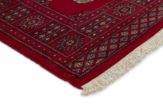 Pakistan Buchara 2ply - 3