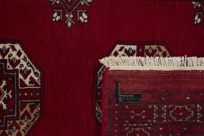 Pakistan Buchara 3ply - 1