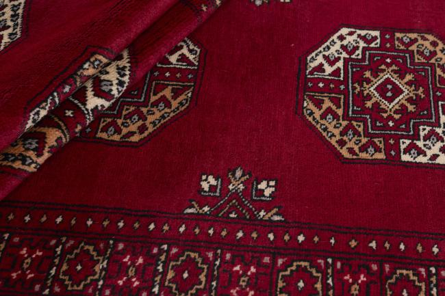 Pakistan Buchara 3ply - 2