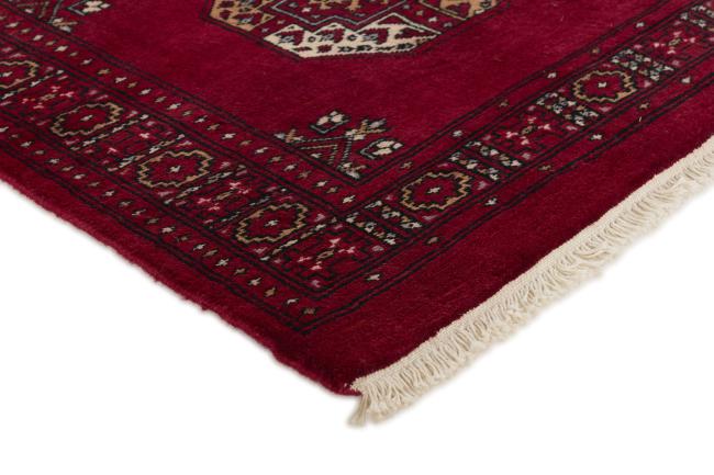 Pakistan Buchara 3ply - 3