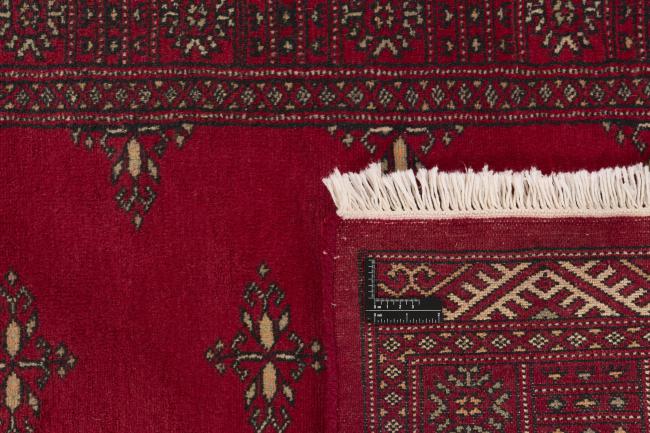 Pakistan Buchara 3ply - 1