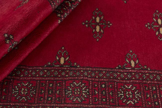 Pakistan Buchara 3ply - 2