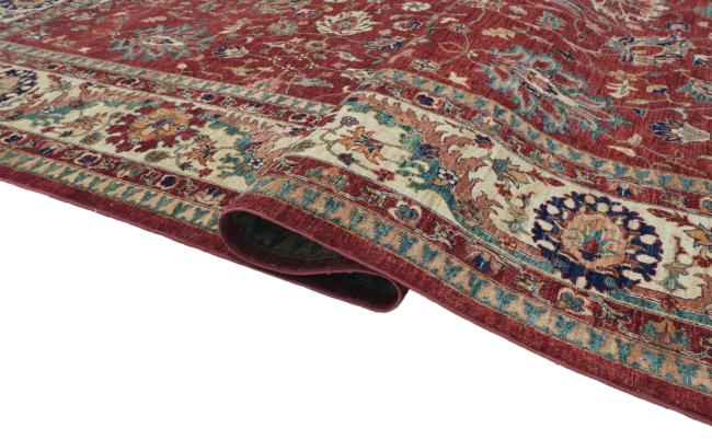 Ziegler Farahan - 6