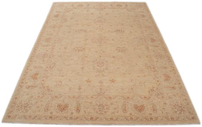 Ziegler Farahan - 3