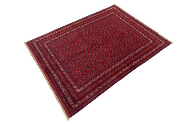 Afghan Mauri - 1