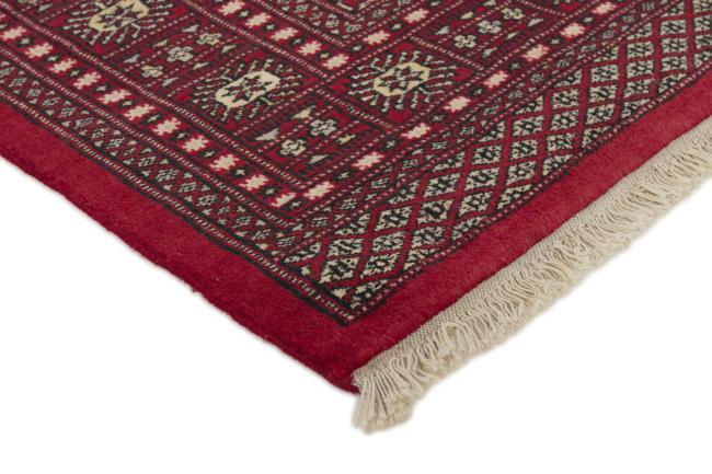 Pakistan Buchara 2ply - 3