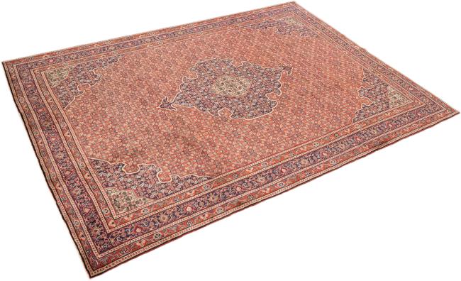 Bidjar - 2