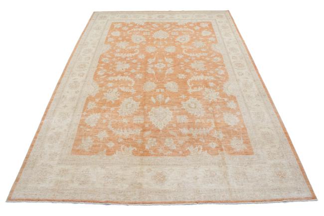 Ziegler Farahan - 3