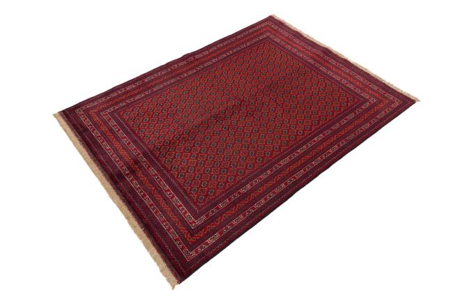 Afghan Mauri - 1