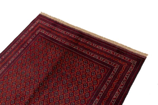Afghan Mauri - 3